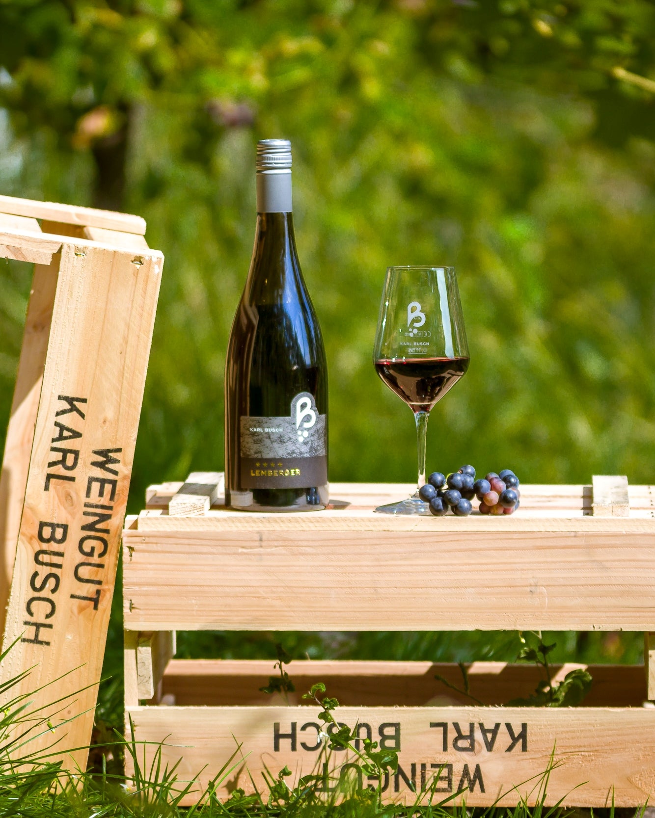 Gutschein für eine Weinprobe